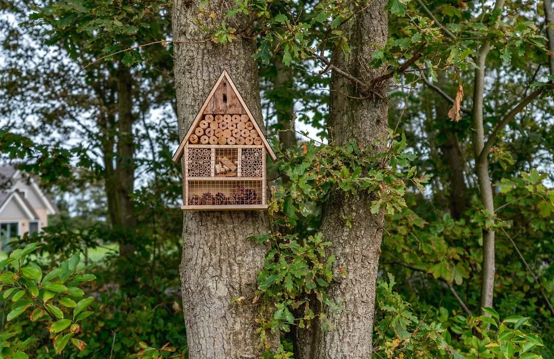 Vakantiewoning De Bleekersvallei-1